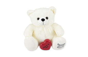 Teddy Bear - White-image